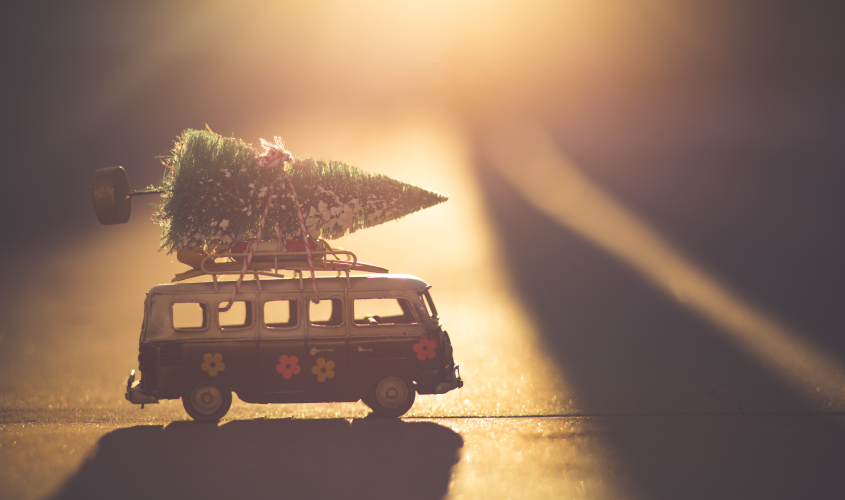 jõulukuuse transport